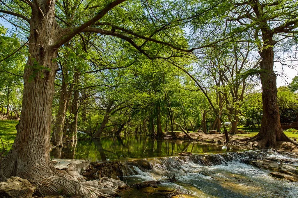 Hiking trails near the resort